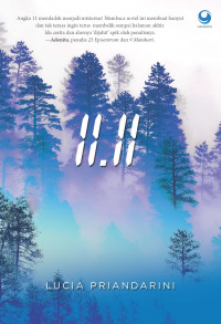 Image of 11:11