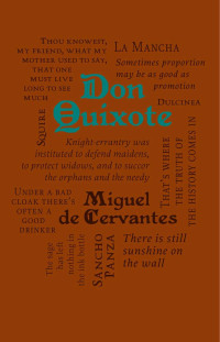 Image of Don Quixote